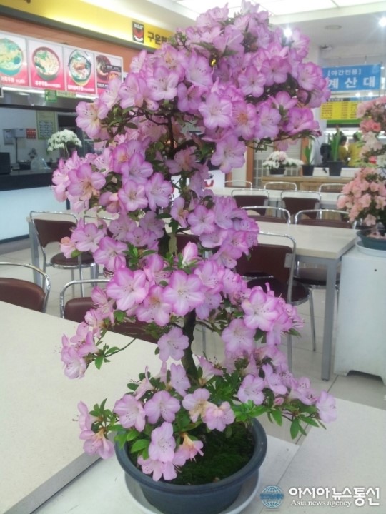 이색휴게소, 정읍녹두장군휴게소(상)