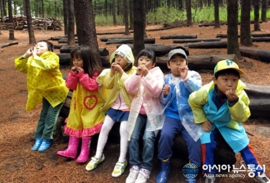 유아들의 산림교육장 대관령 유아숲체험원 인기