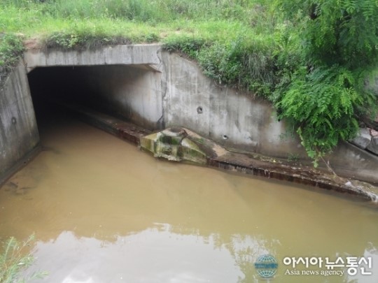 제천시 무도천 분뇨와 악취로 가득