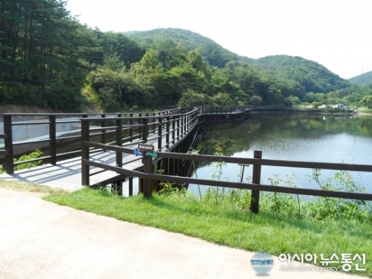 “가는길이 더욱 즐거워진 편백산림욕장 구경오세요”