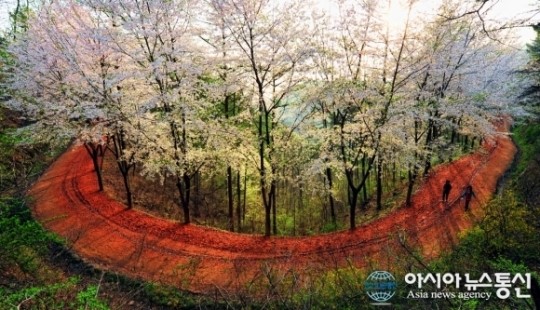 계족산 황톳길, 전국에서 꼭 가봐야 할 관광지 3위 선정