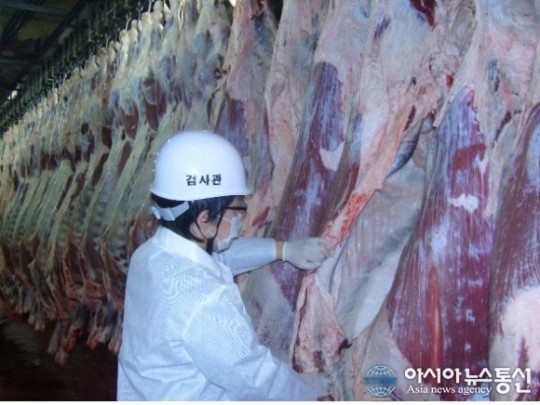 경기도, 깨끗한 도축장 위해 앞장서