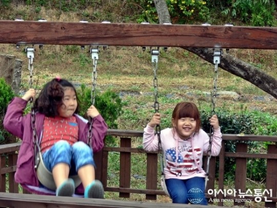 울진 동치골야생화마을 詩와 첼로연주와 그네타는 아이들