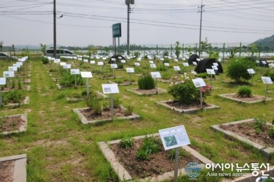의령 새기술실증시범포장, 농업인 새 소득원 발굴사업 추진