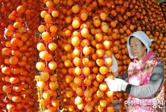 임금님 진상품 함안 ‘파수곶감’