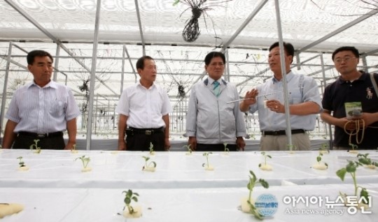 부안군, 씨감자 자체생산 기반구축