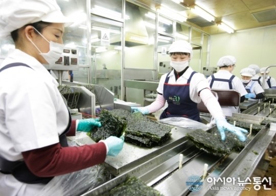 보령産 조미김 생산업체, 설 명절선물 준비로 분주