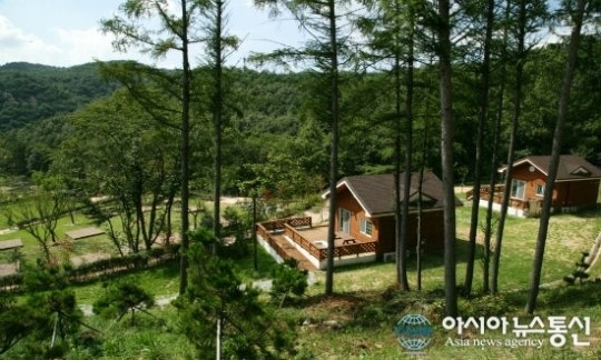 양촌자연휴양림, ‘힐링명소’로 착착