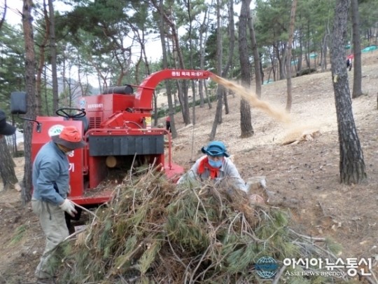 마산회원구, 소나무재선충병 피해목 제거사업 ‘박차’