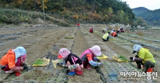 울진군, 농촌인력지원단 시범운영