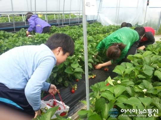 삼례농협, 대형유통매장.JB프라자 우수고객 초청 체험행사