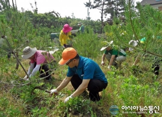 덕진구 세무과, 농촌 일손돕기 활동 구슬땀