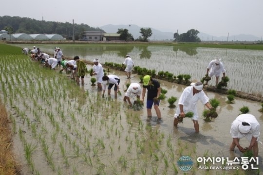 진천 용몽리 농요 시연회…충북도 무형문화재 11호