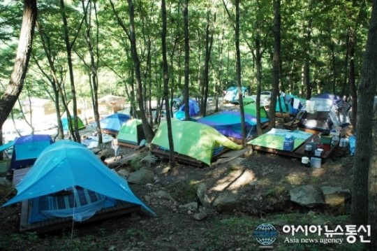 경주 토함산자연휴양림, 성수기 대비 준비 완료