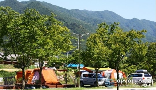 단양군, 관광지 시설물 사용료 재조정 추진