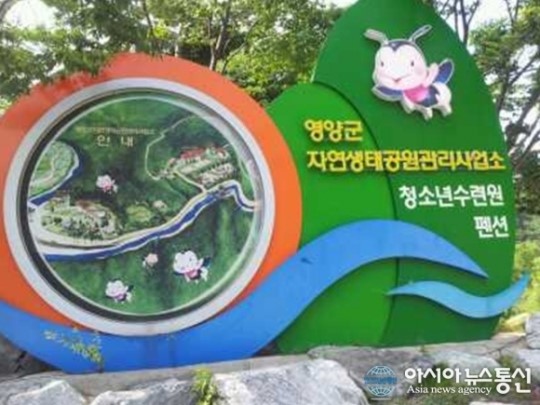영양군 청소년수련원 야영장 open