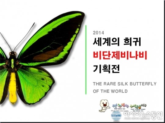 부안 누에타운 세계 희귀 비단제비나비 기획전