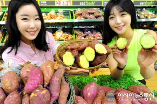 홈플러스, 다이어트 식품 해남·영암·고창산 햇고구마 판매