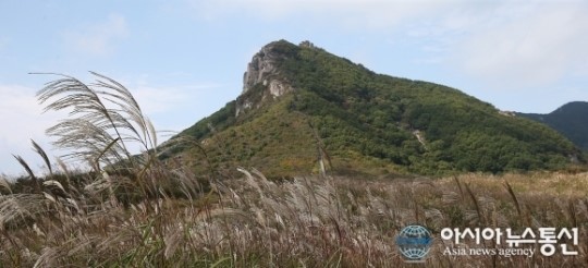 합천 황매산 은빛 억새 물결