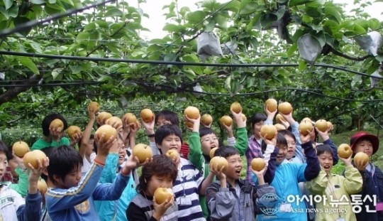 기쁨두배(아산배마을)