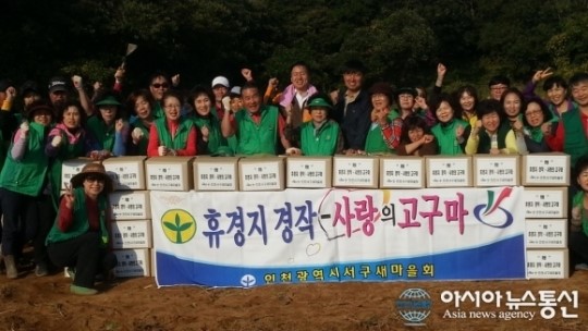인천서구새마을회, 이웃사랑 실천 사랑의 고구마 전달