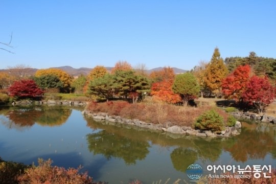 충남 금강수목원, “환상의 오색단풍”