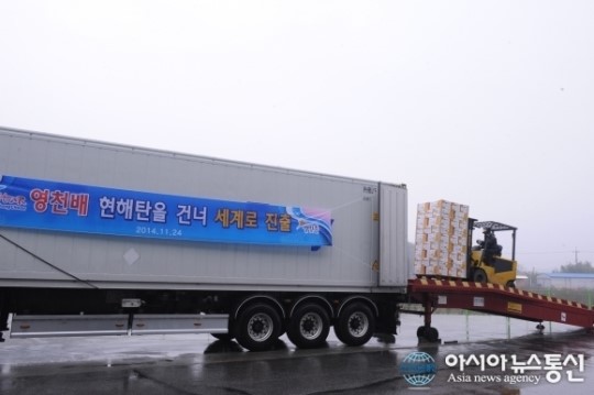 영천시, 영천 과일 전국을 넘어 세계속으로…