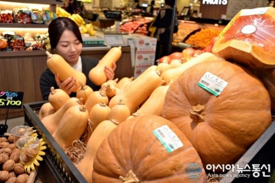 대백 프라자점, 땅콩 닮은 땅콩 호박 등장 눈길