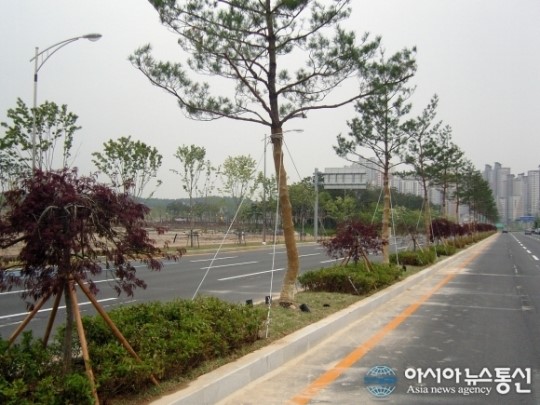 공항대로 중앙분리대에 택시 충돌…운전사 사망