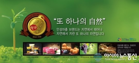 안성마춤 농.특산 브랜드 9년 연속 대상