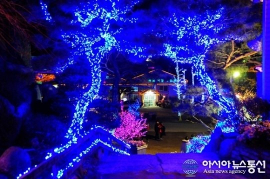 포천 허브아이랜드 불빛동화축제