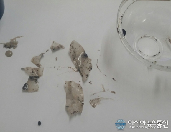 커피전문점 이디야 쉐이크서 플라스틱 추정 이물질 나와
