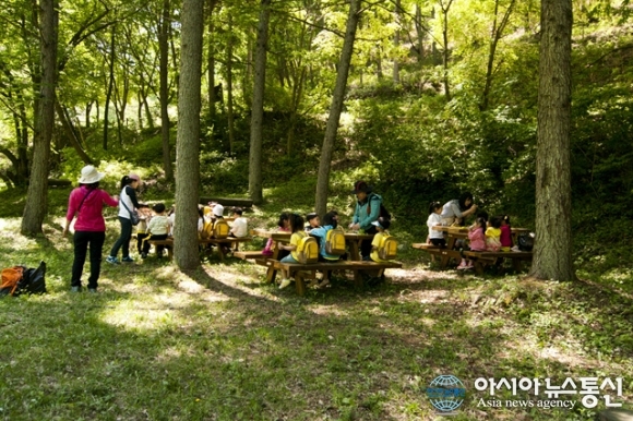 청송군, 장난끼유아숲체험장 개장