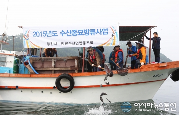 당진시, 조피볼락 1만5000미 방류