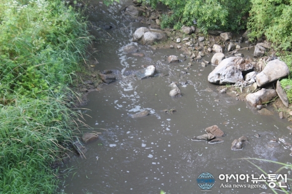 밀양 A농장, 축산폐수 수백t 무단 방류