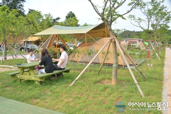순창 섬진강 항가 오토캠핑장 개장 모습