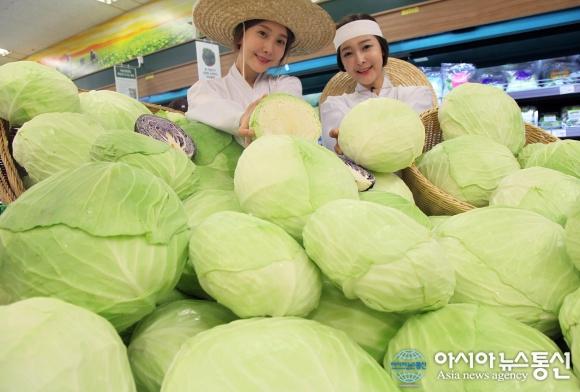 우리 종자로 개발한 양배추 드세요