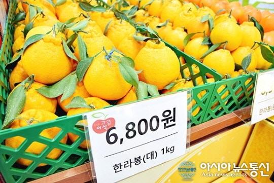제주 도소매 과일 카페 “과일아삭 협동조합” 여행 선물로 제격!
