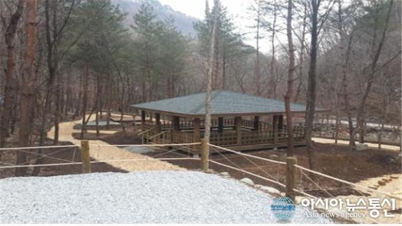 아이들의 숲속 놀이터 갯골 유아숲체험원 개원