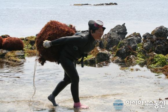 [우도 기행(7)] 문화공간 우도까페 노닐다 - 사진일기1 제주 해녀