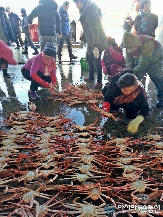 설 대목 분주한 울진 죽변항