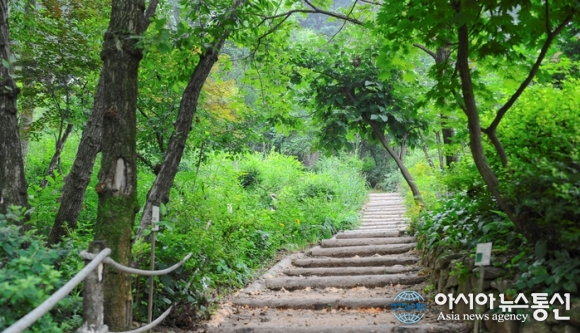 5월 나들이 가까운 수목원에서 힐링하세요