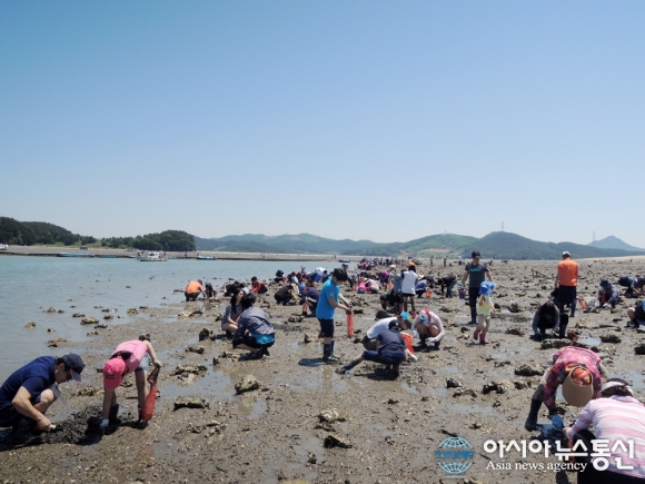 제6회 지곡 왕산포 서산갯마을축제 다음달 4~5일 열려