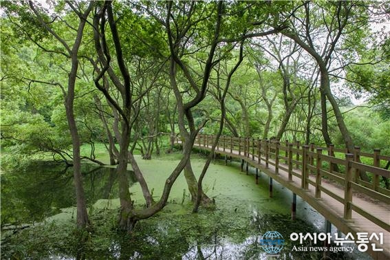 군산 생태관광사업 조성 박차