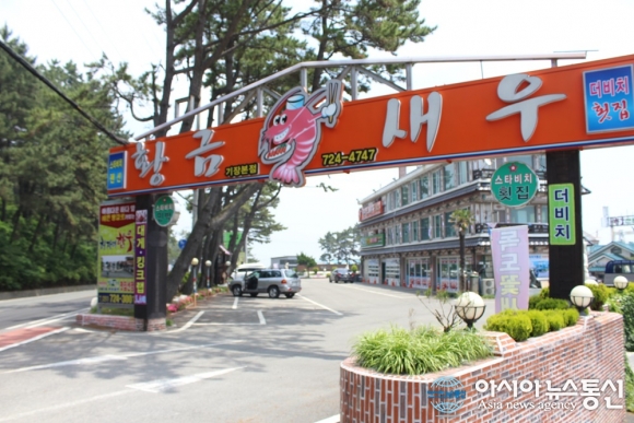 (김은지의 맛방 멋방) 기장맛집 황금새우 새우의 매력에 흠뻑 빠져보세요