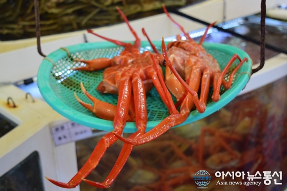 (이제무의 기업 Zoom In) ‘홍게’하면  생각나는 그 곳 주문집맛집 ‘대영유통’