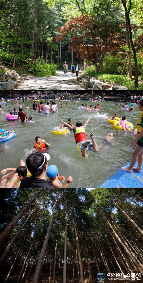 보령 성주산자연휴양림에서 힐링 하세요!