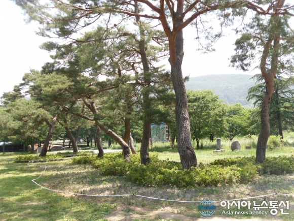산림청, 올해 ‘전통 마을숲’ 41곳 복원