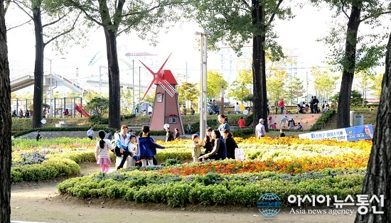 증평 미루나무 숲 물빛 공원 꽃 만개 눈길