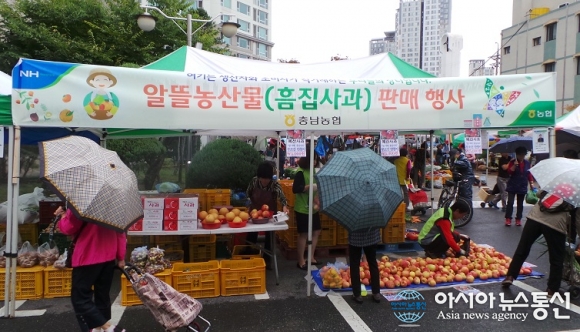 충남농협,알뜰농산물 판매장 연다